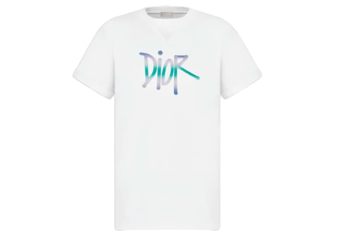 Áo Tshirt Dior logo ngực hoa màu sắc Like Auth on web  TANYA
